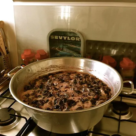 Alojamento de Acomodação e Pequeno-almoço Les Cagettes En Perpinhã